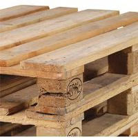 Lote 20 palets europeos de madera 1200x800 – Liquidación por jubilación