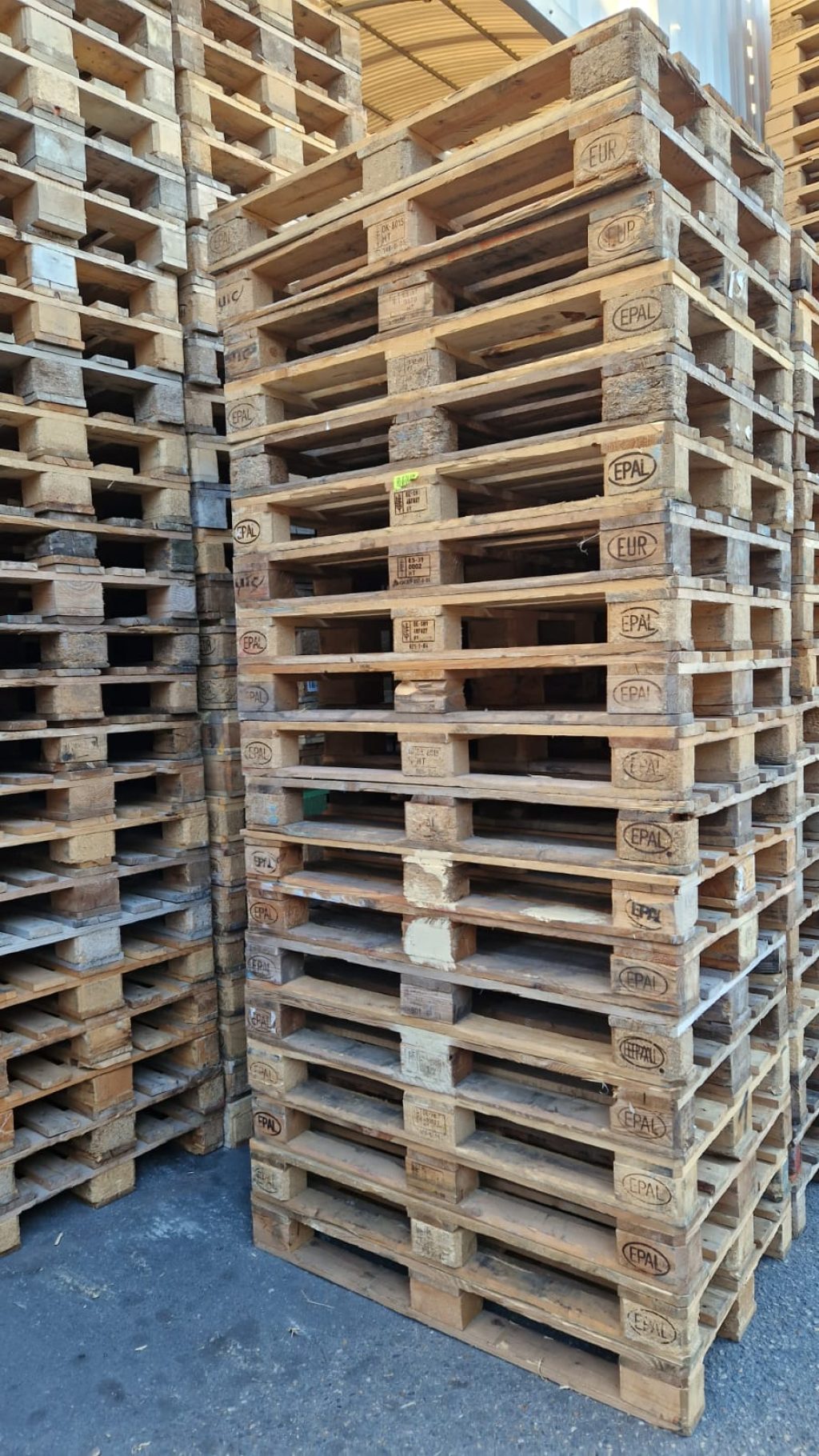 Lote 20 palets europeos de madera 1200x800 – Liquidación por jubilación