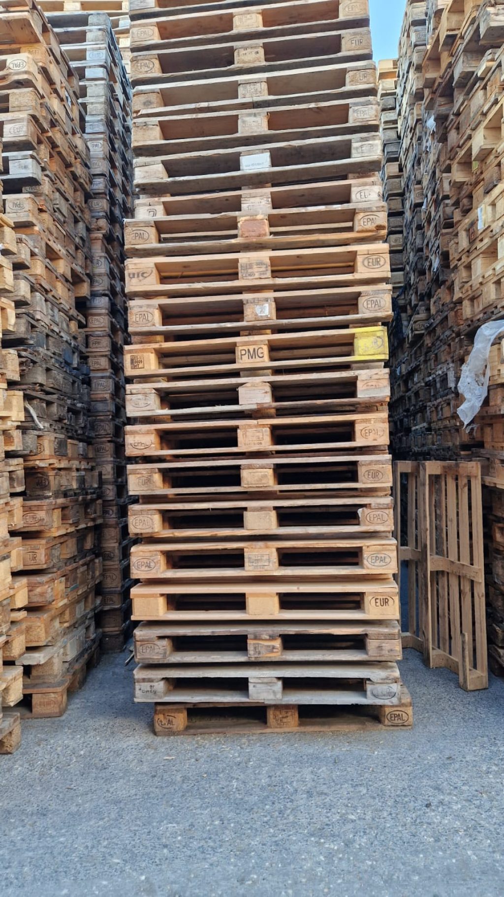 Lote 20 palets europeos de madera 1200x800 – Liquidación por jubilación